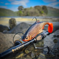 Westin Ricky The Roach Shadtail R2F Lures